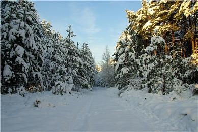 卡牌游戏《弈仙牌》正式版定档2024年1月22日 免费游玩