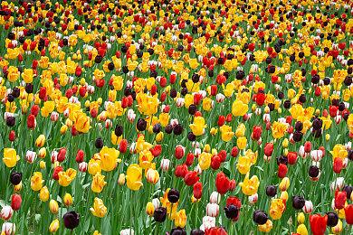 《最后的生还者：重制版》公布媒体赞誉宣传片 PC版即将推出