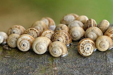 《光与影：33号远征队》销量破330万份 感谢玩家支持